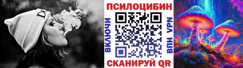 Псилоцибиновые грибы Psilocybine cubensis Калачинск