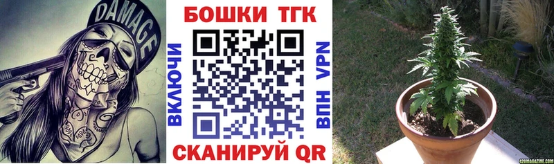 Бошки Шишки марихуана  нарко площадка какой сайт  Калачинск  kraken зеркало 